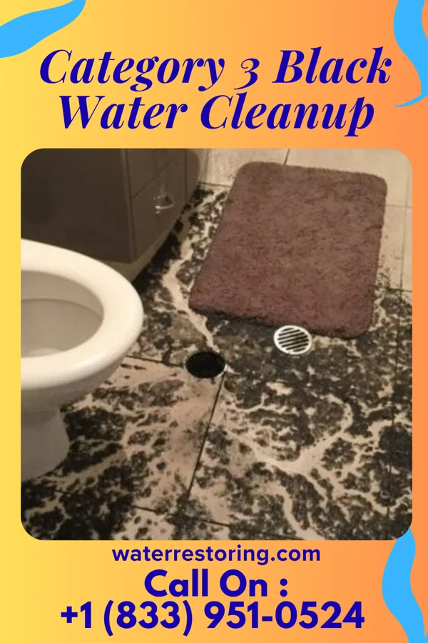 Category 3 Black Water Cleanup in Emery, UT