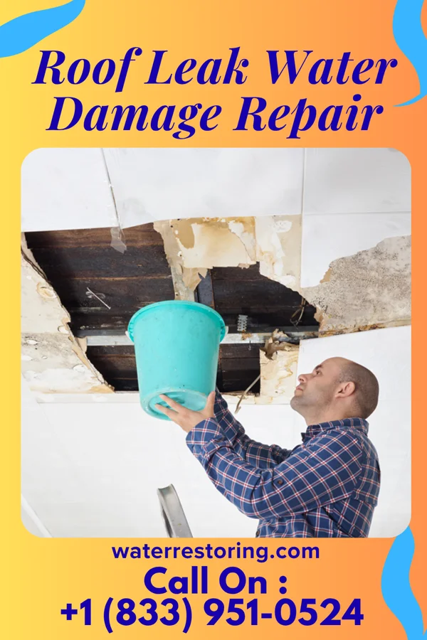Roof Leak Water Damage Repair in Emery, UT
